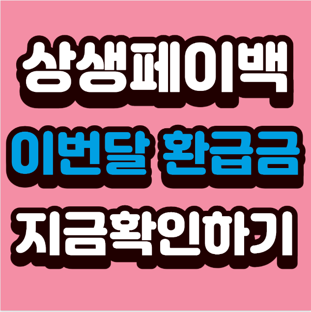 뜻밖의 용돈?! 상생페이백 이번 달 환급금 확인법&ndash; 우리 동네 경제 살리고, 소비로 돌려받는 현명한 혜택 정리 &ndash;