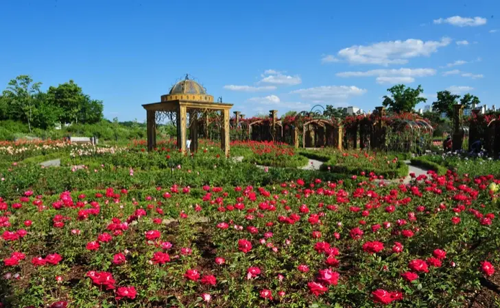 대전-한밭수목원-입장료-주차-요금-관람시간