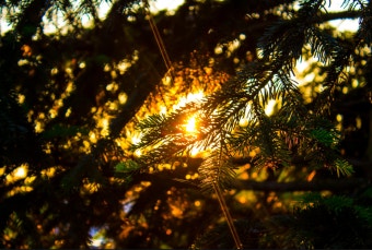 귀뚜라미 보일러 온수가 나오지 않을 때