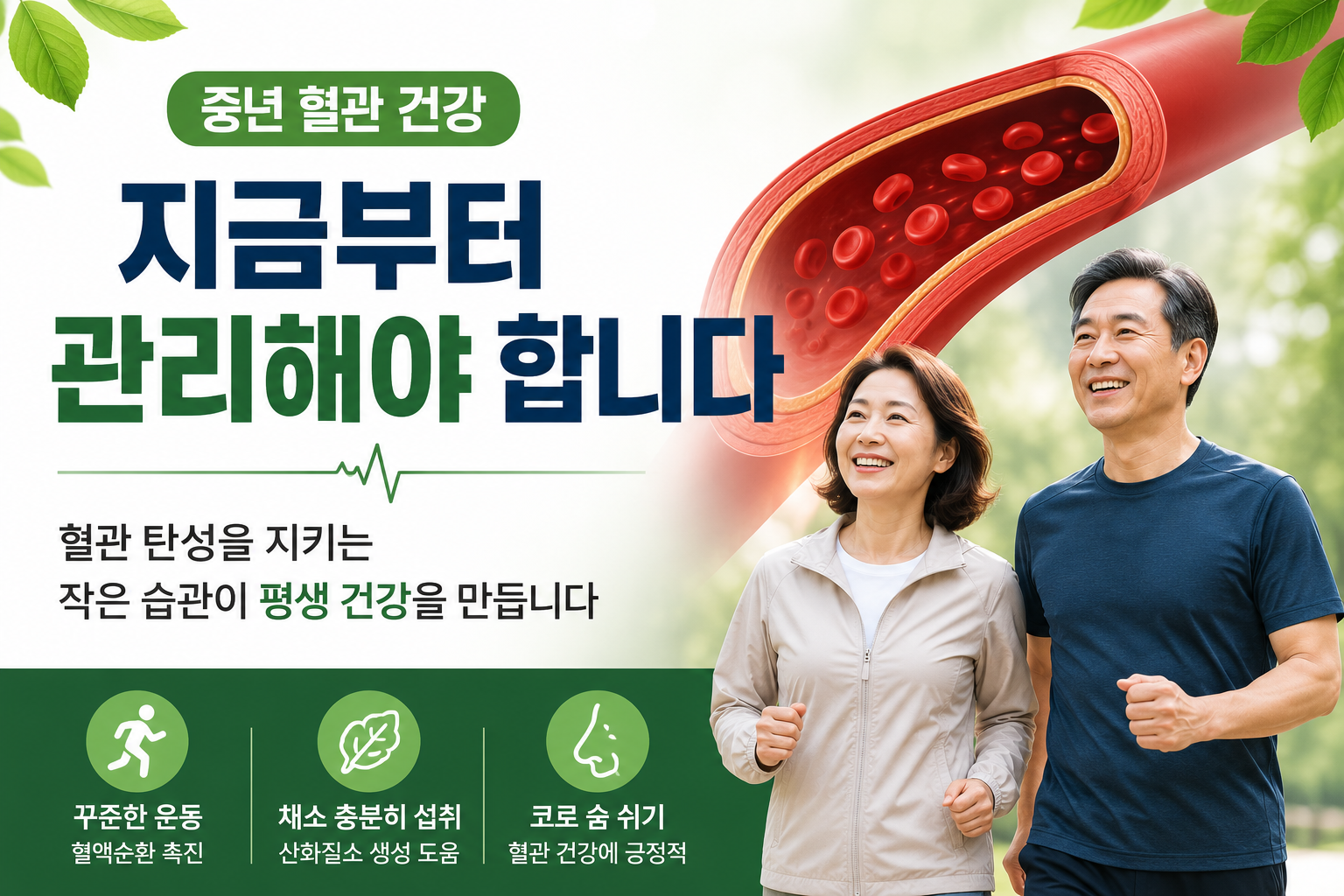 중년 혈관건강 관리