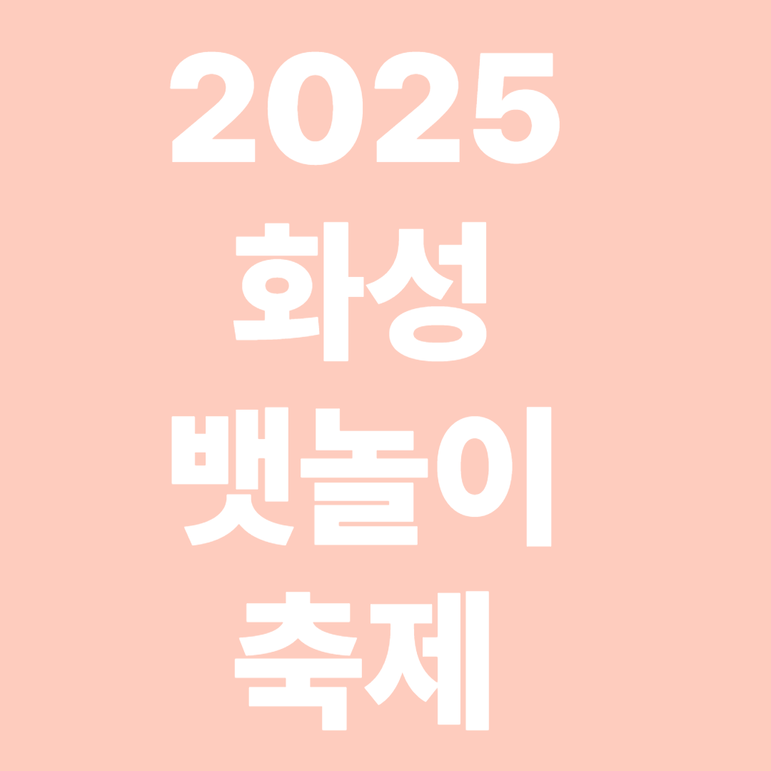 화성 뱃놀이 축제