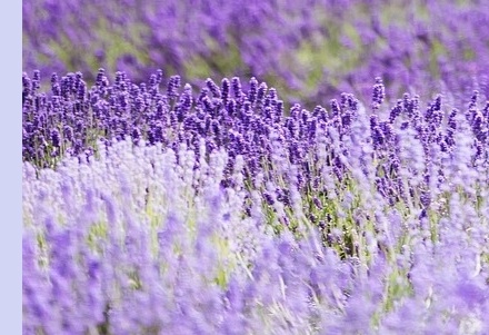 6월 국내 여행지 추천