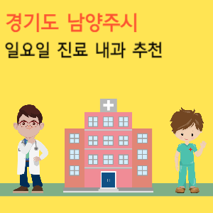 경기도 남양주시 일요일 진료 내과 추천