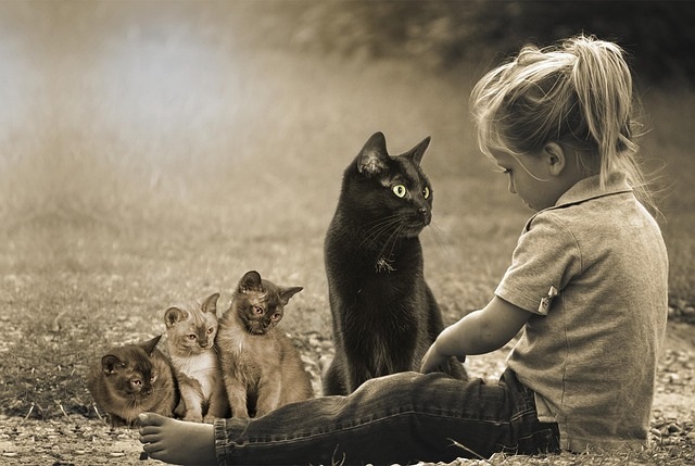 아이와 고양이