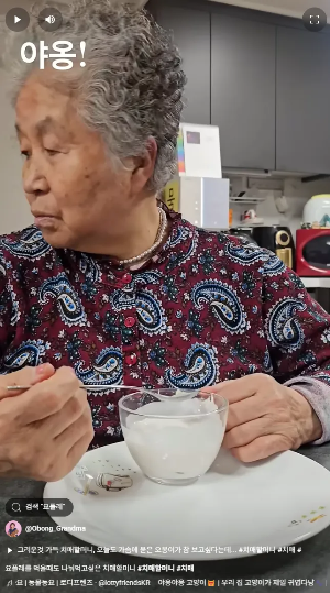 반려묘와 치매, 고양이, 치매