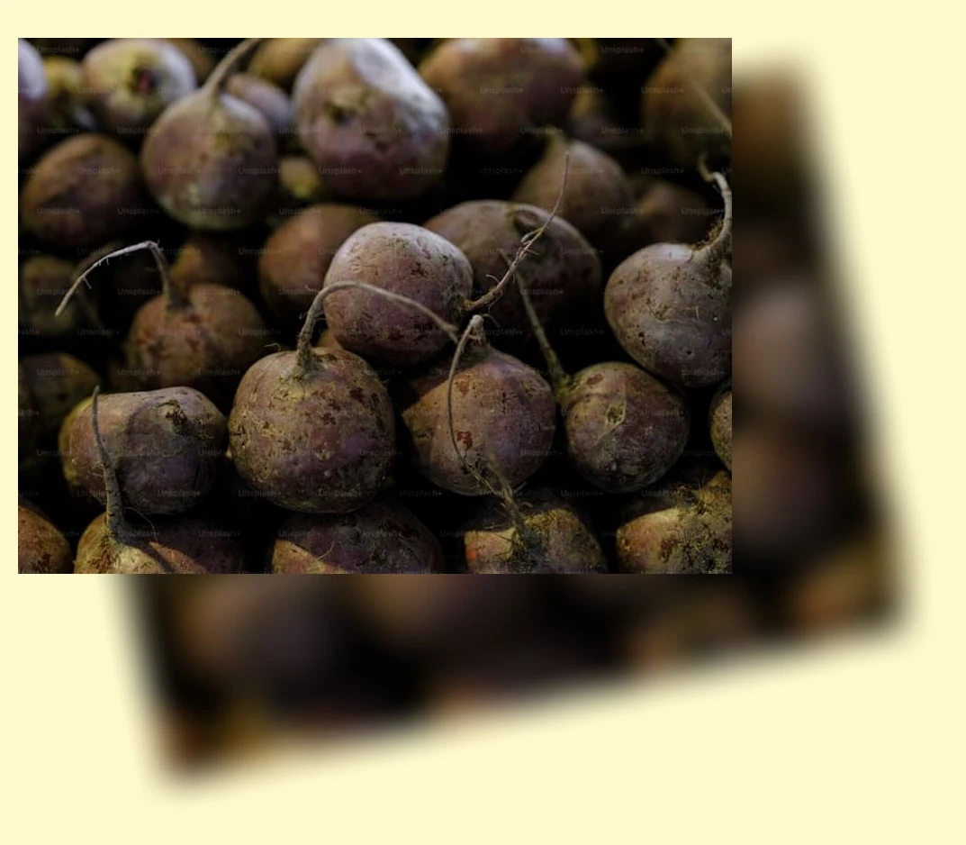 채식 다이어트_2_subsection