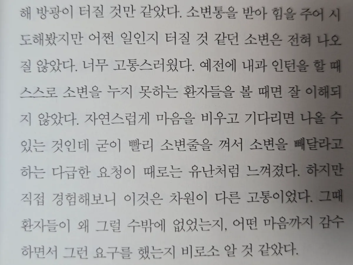 책-씨유어게인-문장