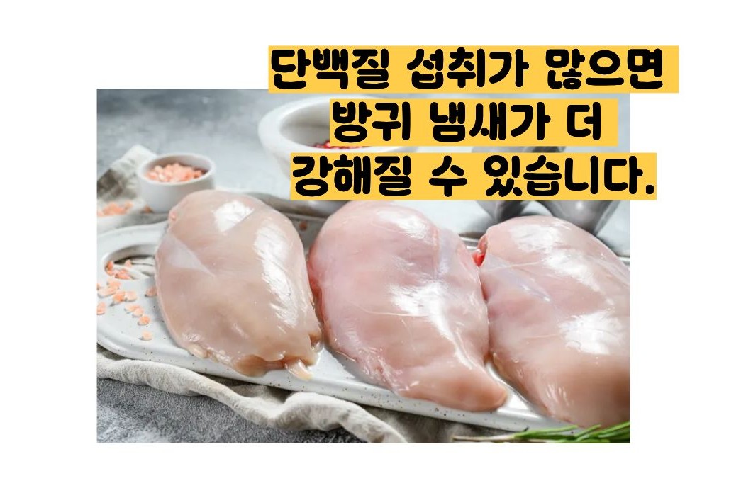 방귀 냄새가 지독해요