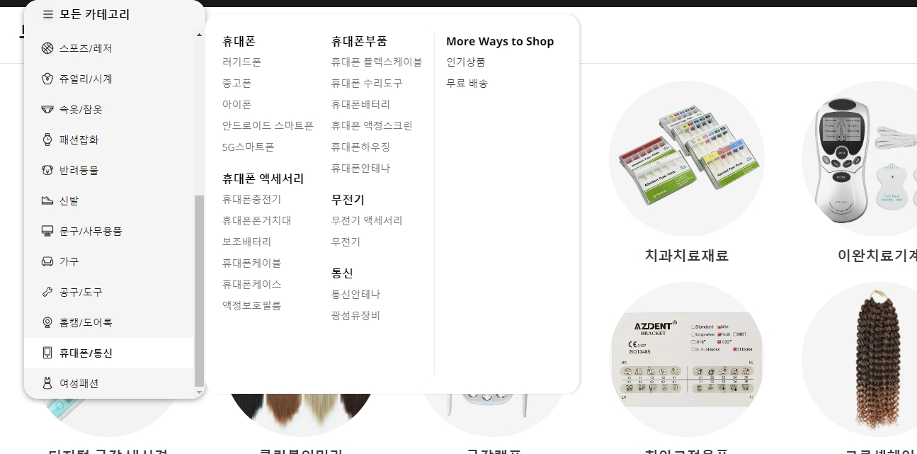 자동차 세부 카테고리