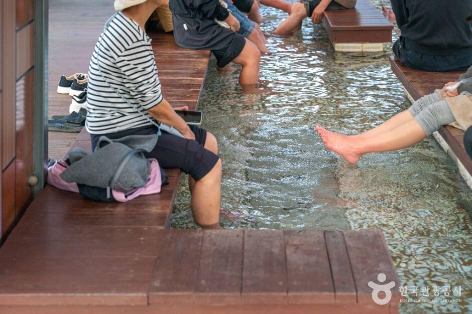 충주 가볼만한곳 베스트 10