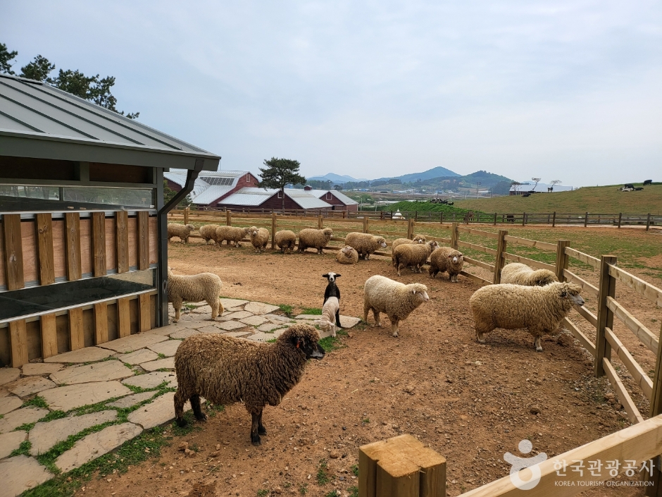고창 가볼만한곳 베스트10