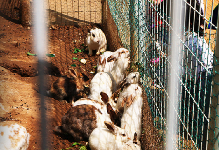 옥토끼 우주센터