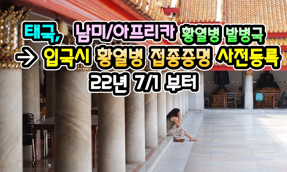 남미 황열병 예방접종 후기 경험과 준비사항_8