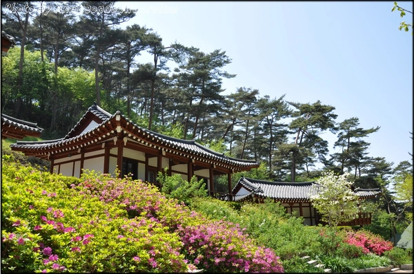 안면도자연휴양림