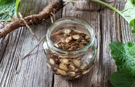 우엉차 효능 말린 볶은 우엉차 영양성분 부작용 칼로리