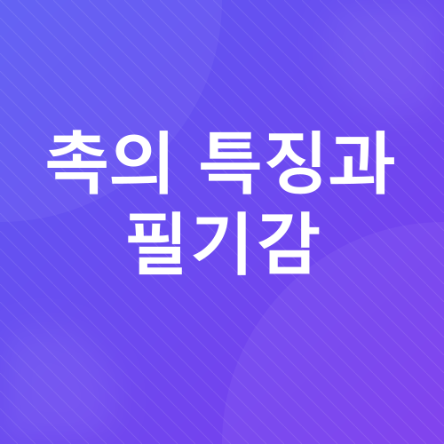 만년필 구매 후기_3