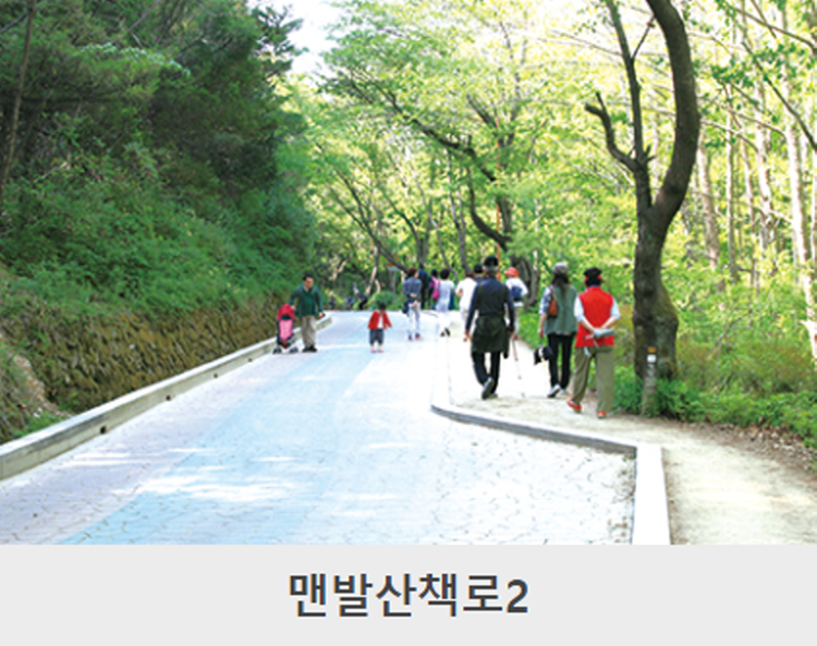 대구 앞산 등산코스