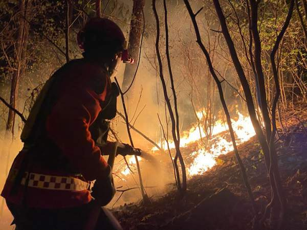 영월 산불발생: 무릉도원면 법흥리 야간 진화 상황 및 주민 대피 가이드 총정리