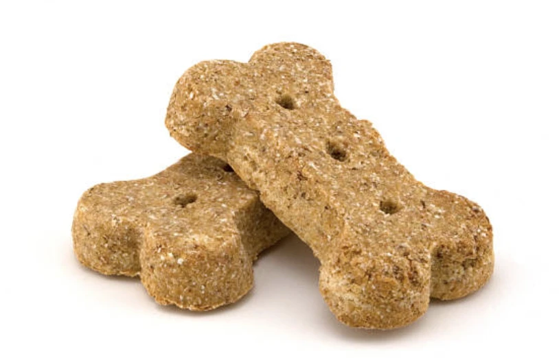 강아지 간식 추천