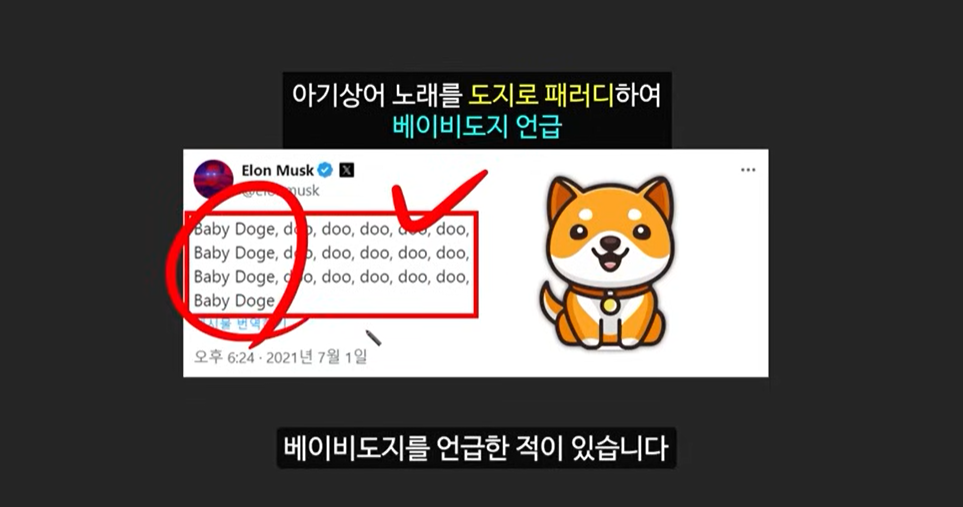 일론 머스크가 주목한 베이비 도지 코인, 급등 가능성은?