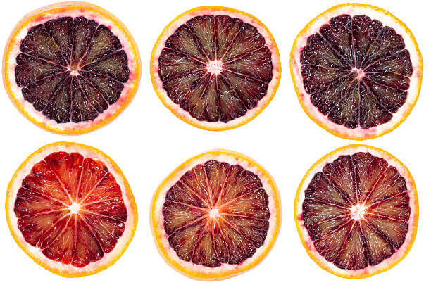 모로실 효능 모로 오렌지 