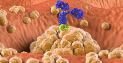 2025년, 바이오는 어디까지 가나?