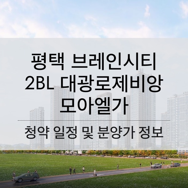 평택 브레인시티 2BL 대광로제비앙 모아엘가 청약 일정 및 분양가와 평수 내용 정리