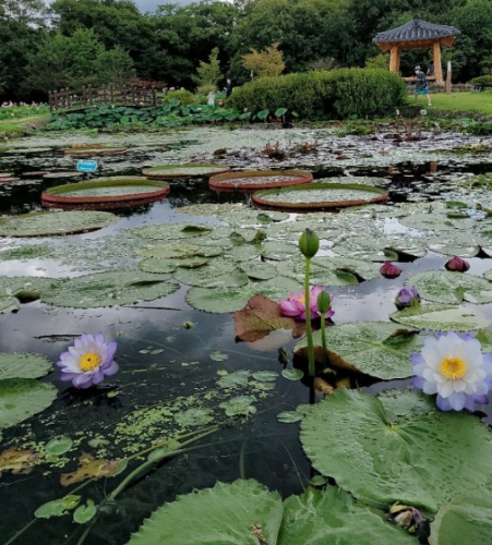 함양 가볼만한곳 추천여행지 BEST 10곳