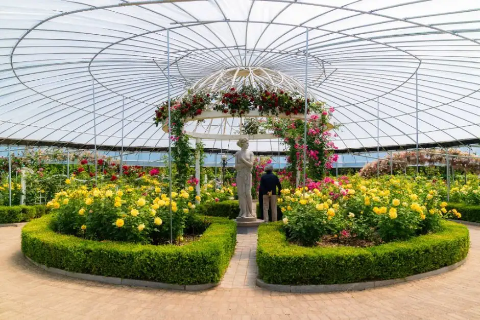 고양 국제꽃박람회