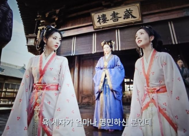 가금채 중국드라마 총정리|줄거리·출연진·전희미 1인 2역·몇부작·넷플릭스·장하오 OST 동왕