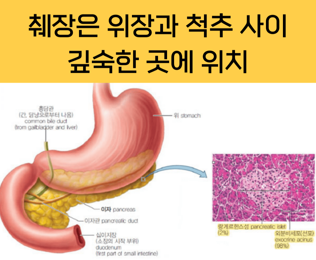 췌장암증상