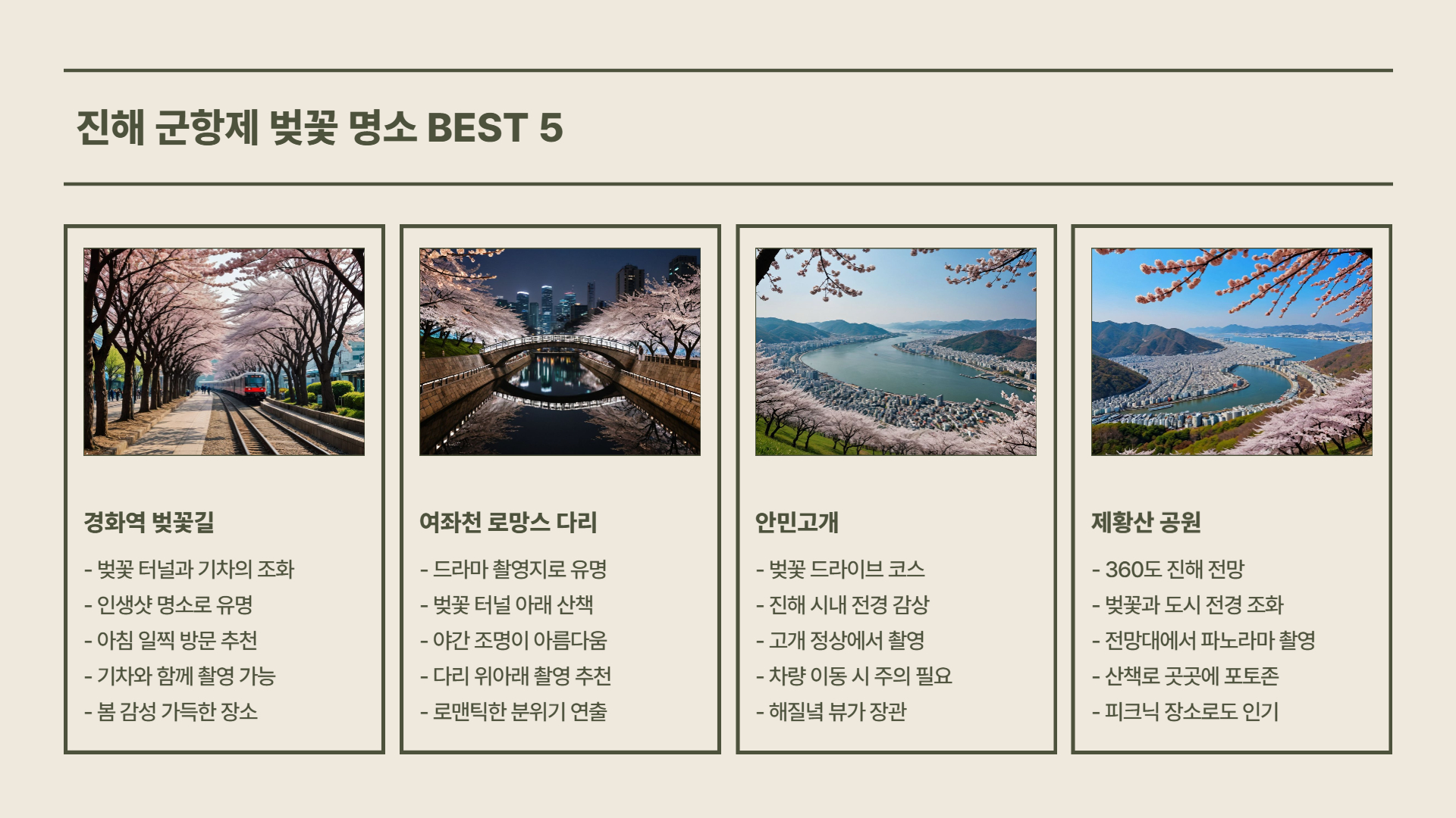 진해 군항제 명소 및 포토존 완벽 가이드