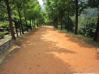 황토길 맨발 걷기 효능과 건강 효과 핵심 정보 정리해보기_2