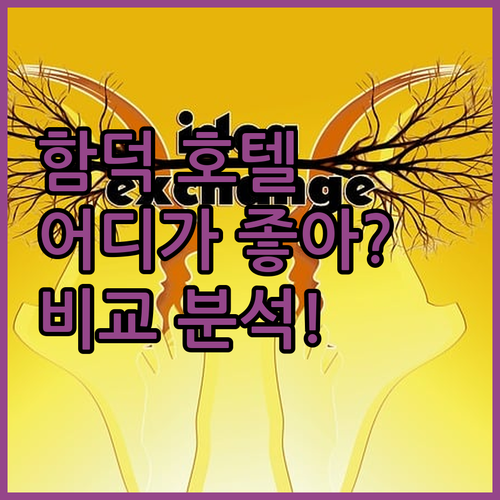 제주 함덕 호텔 어디가 좋을까? 오션
