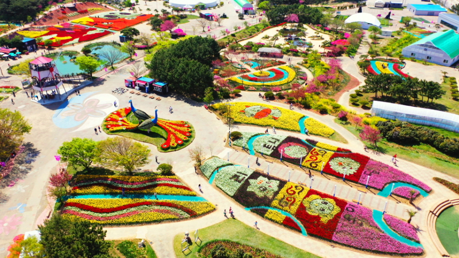 태안튤립축제 기간 장소 입장료 할인 주차장 맛집 방포항길