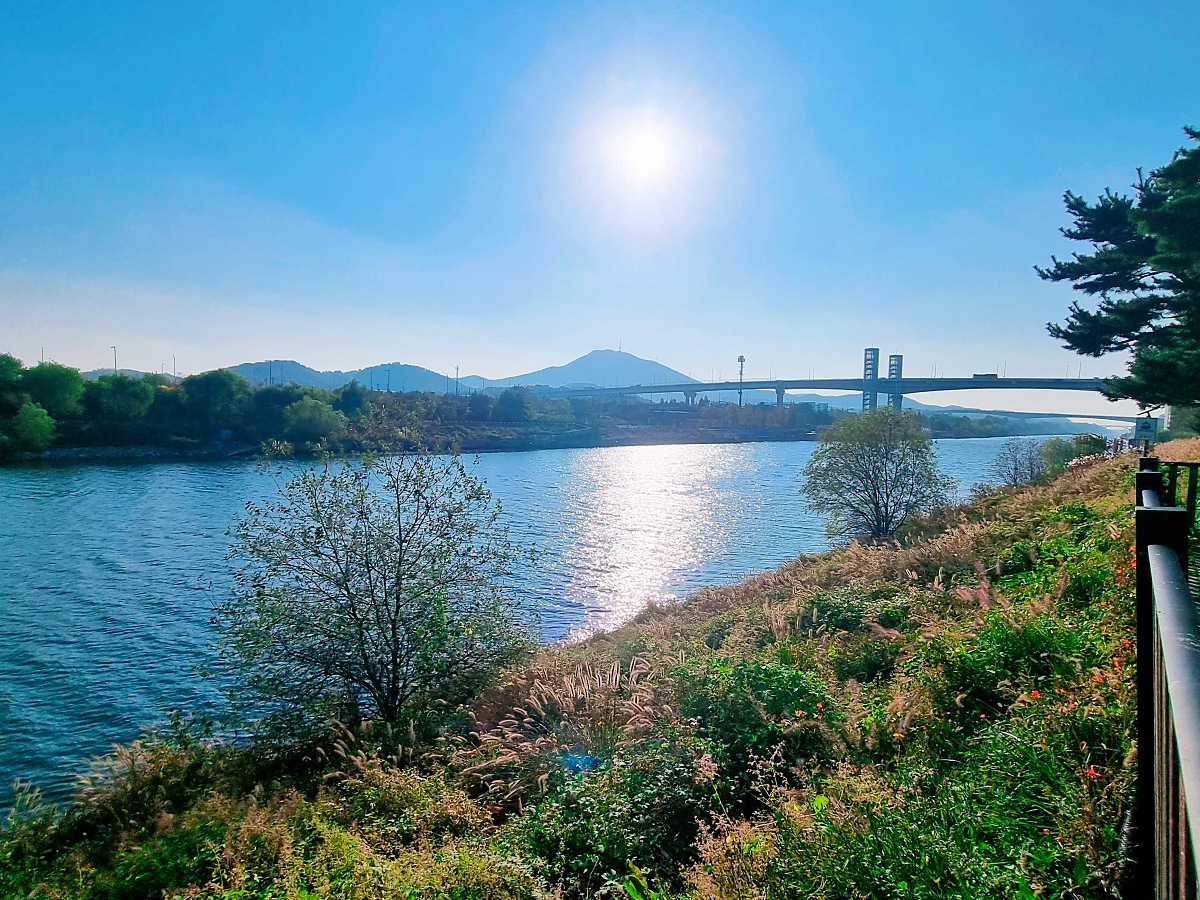 2024 인천 계양 아라온 가을꽃 전시회&amp;#44; 국화 축제(~11.10.): 야경&amp;#44; 아라뱃길&amp;#44; 전통놀이 체험