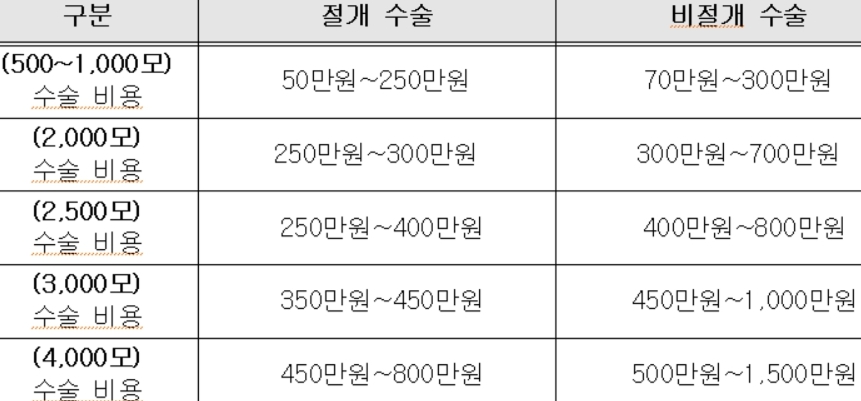 절개 수술 및 비절개 수술비용을 비교한 표 이미지입니다.