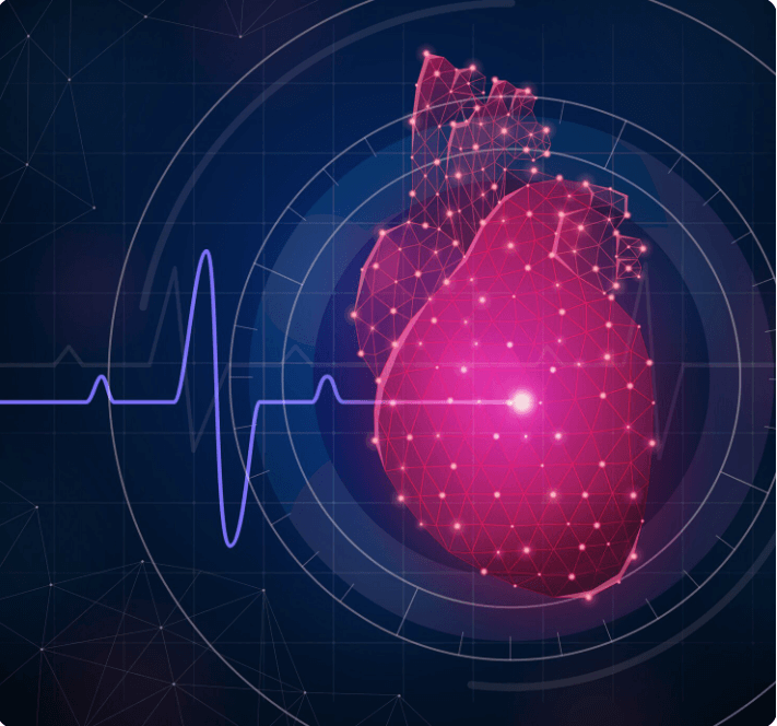 심장 박동 모습