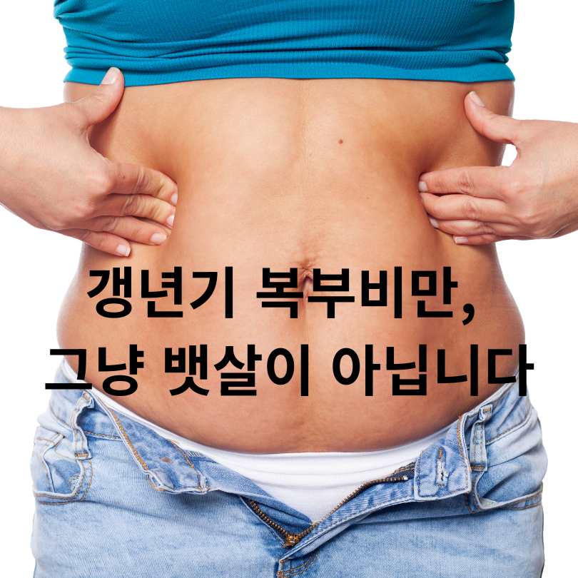 갱년기 여성 복부비만 원인과 해결책
