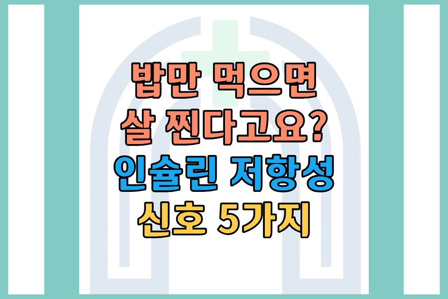 밥만 먹으면 살 찐다고요 나도 모르게 겪고 있는 인슐린 저항성 신호 5가지