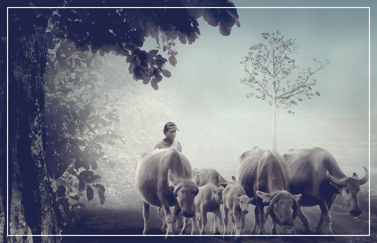 성과 정리와 공유