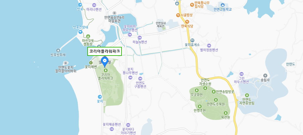 2025-태안-세계-튤립-꽃박람회-장소