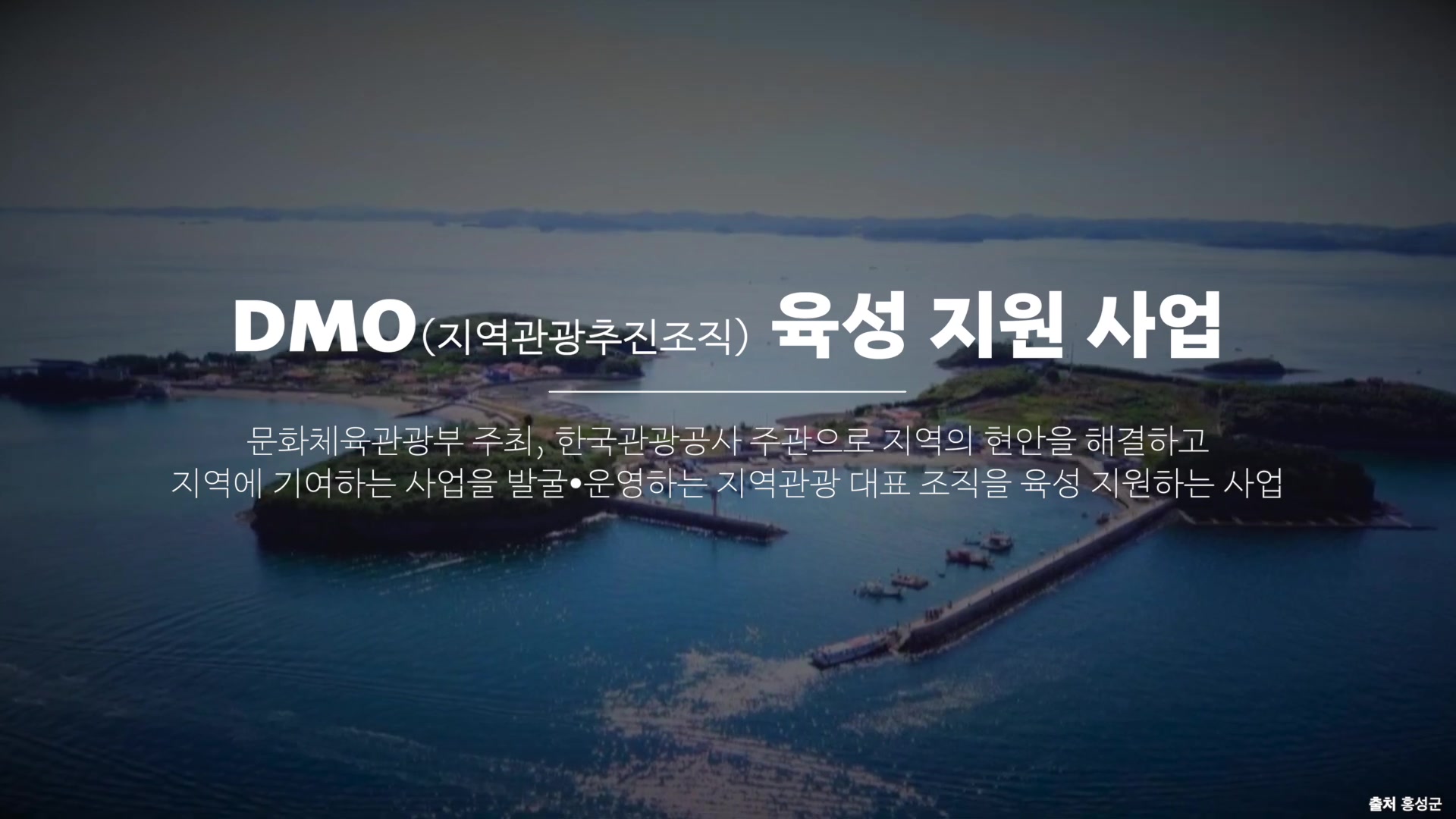 DMO 육성지원사업