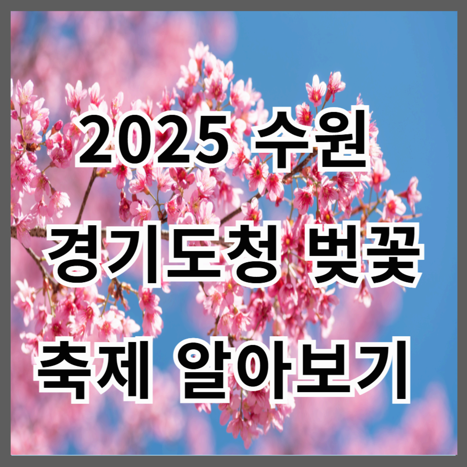 2025 수원 경기도청 벚꽃축제 벚꽃 명소, 일정, 주차 정보