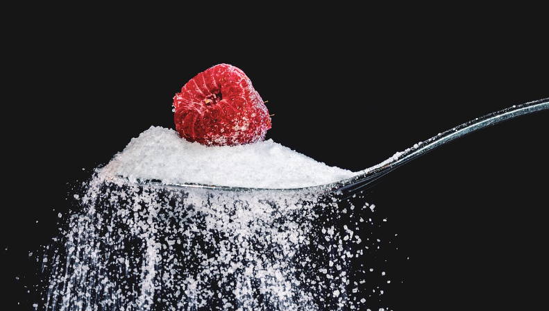 설탕 없이도 살 수 있을까?