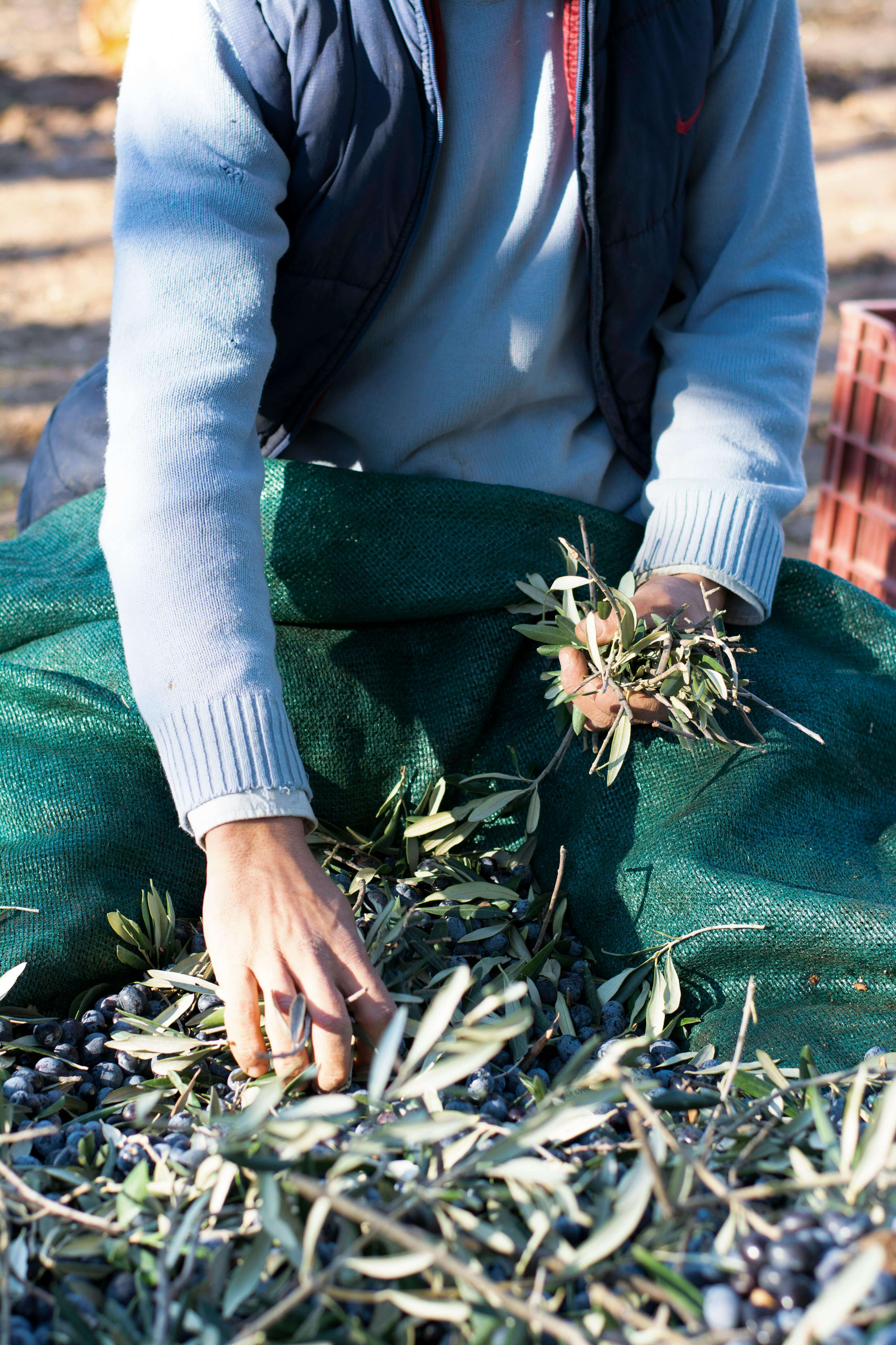 농업직불금 신청자격 완전 정리|누가 받을 수 있을까