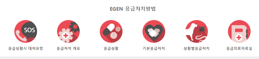 응급 처치법