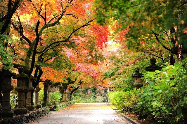 지리산 단풍여행