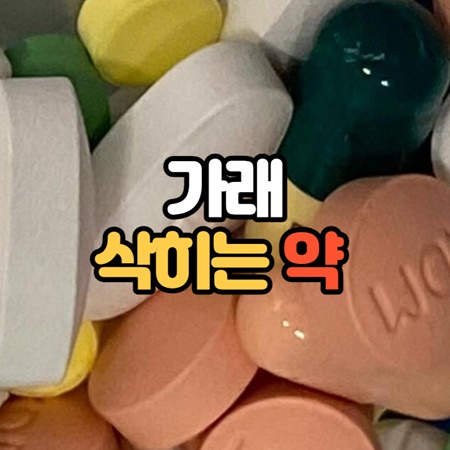 가래 삭히는 약