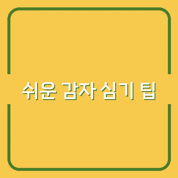 쉬운 감자 심기 팁